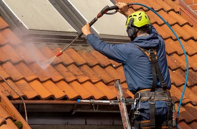 Démoussage et hydrofuge de toiture à la Chaise